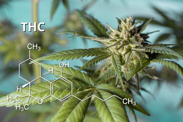 cannabis and chemical formula of THC